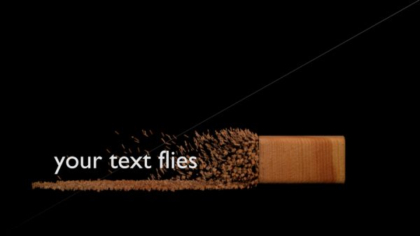 Your Text Flies